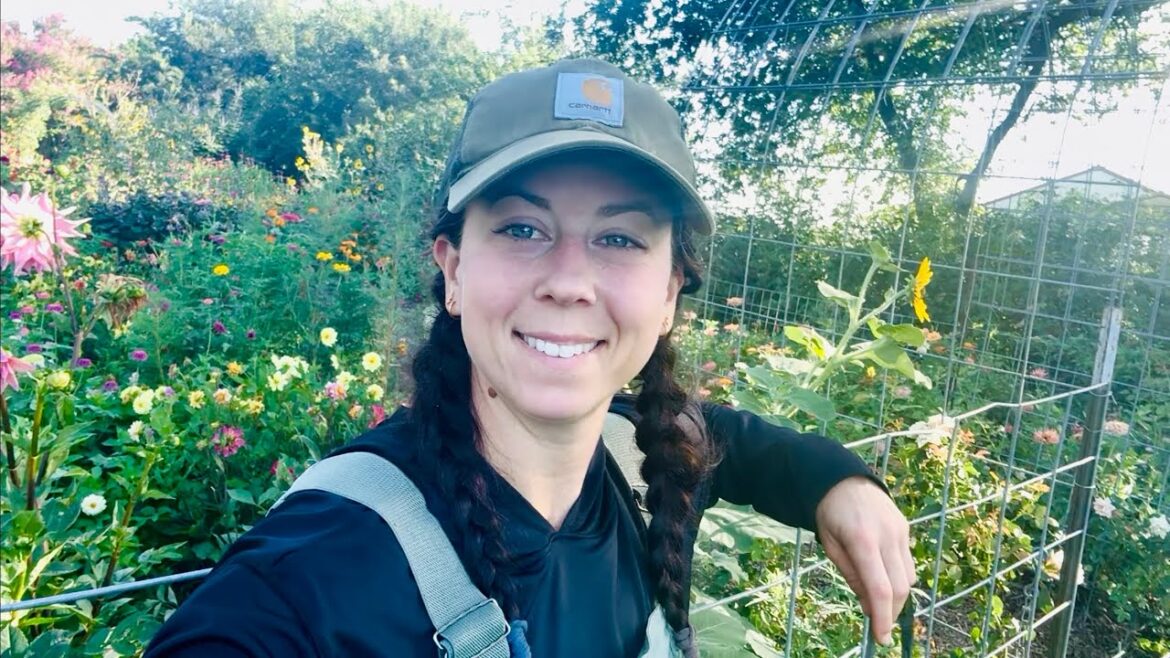 Flower Power for the Texas Sun: Peach Abelia 🍑 + Easy Agastache Seed Saving! Flower Power for the Texas Sun: Peach Abelia 🍑 + Easy Agastache Seed Saving!