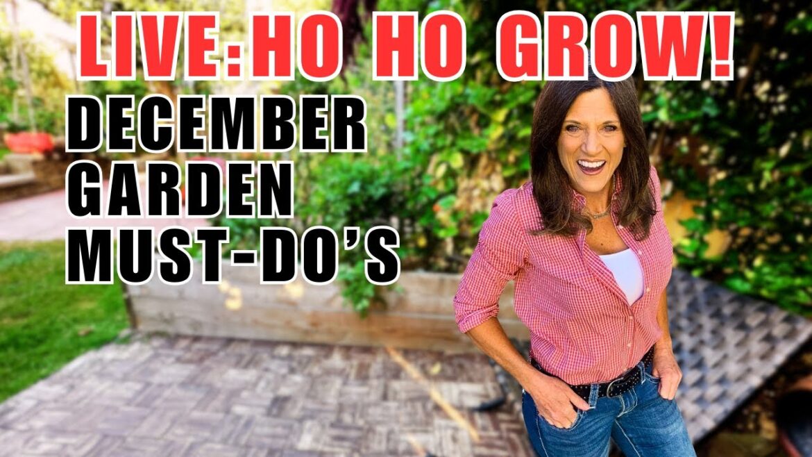 CaliKim: LIVE: Ho Ho Grow! December Garden Must-Dos LIVE: Ho Ho Grow! December Garden Must-Dos