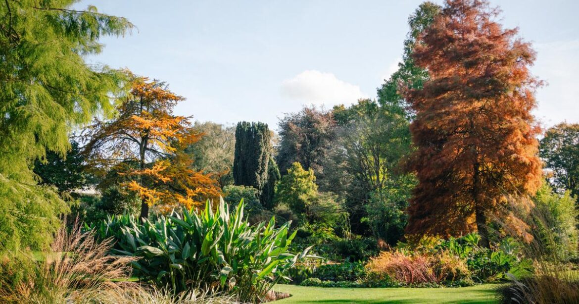 Beth Chatto Essex garden to feature on BBC Gardeners' World