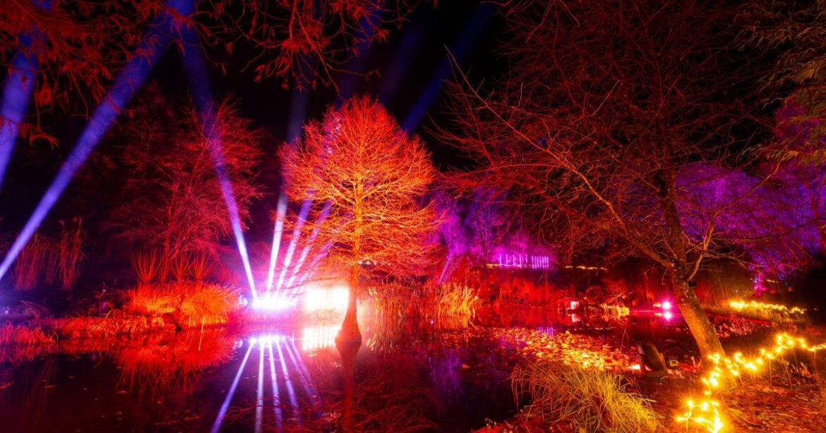 Light Up Sir Harold Hillier Gardens returns this winter Light Up Sir Harold Hillier Gardens returns this winter