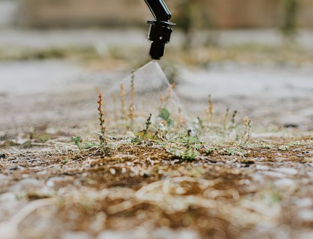 Close-up of a nozzle spraying weed killer on the ground.