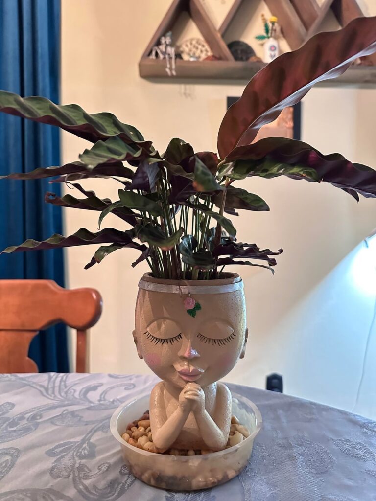 How to keep healthy How to keep healthy