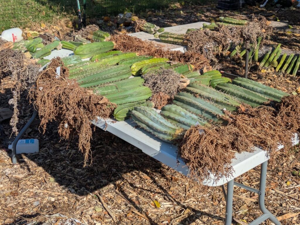 Fall cleanup is almost done😎