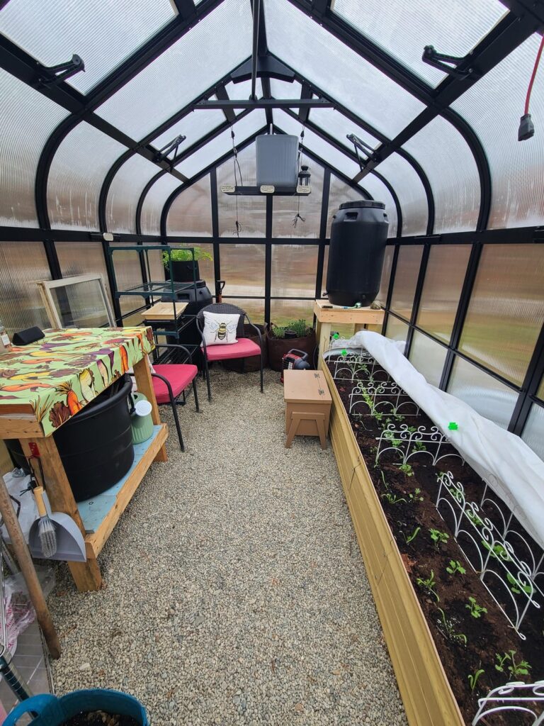 First Winter with our Greenhouse