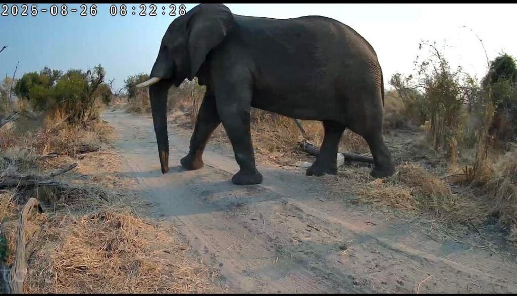 Meet my “Landlords” 😄