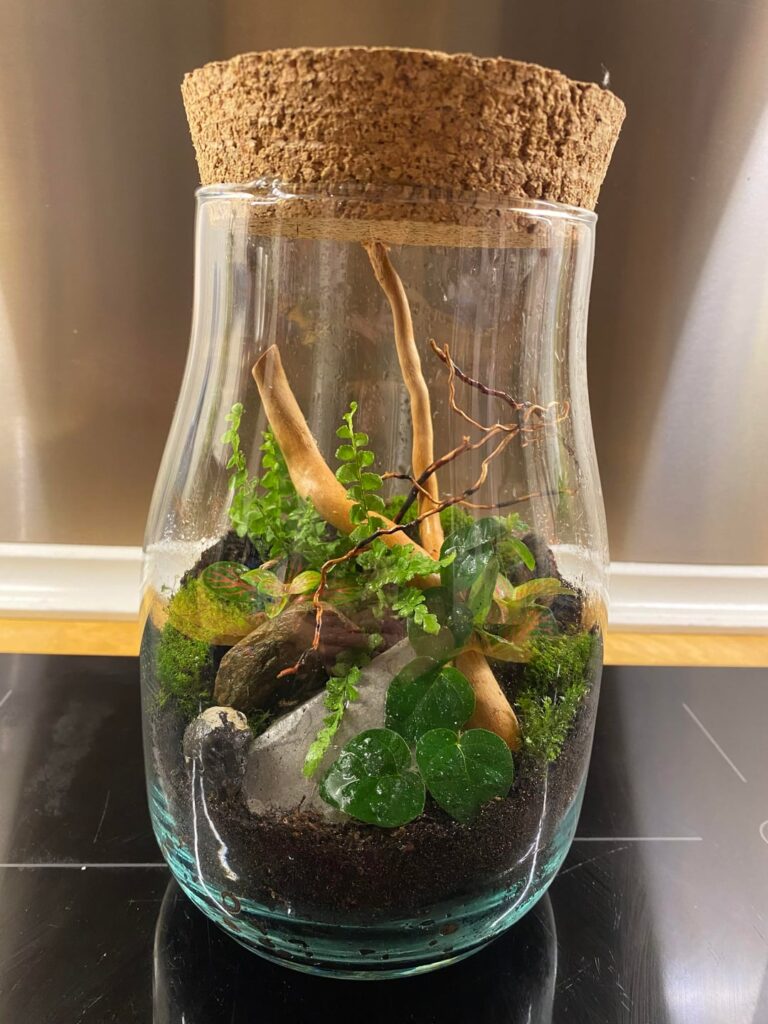 First time using snake wood