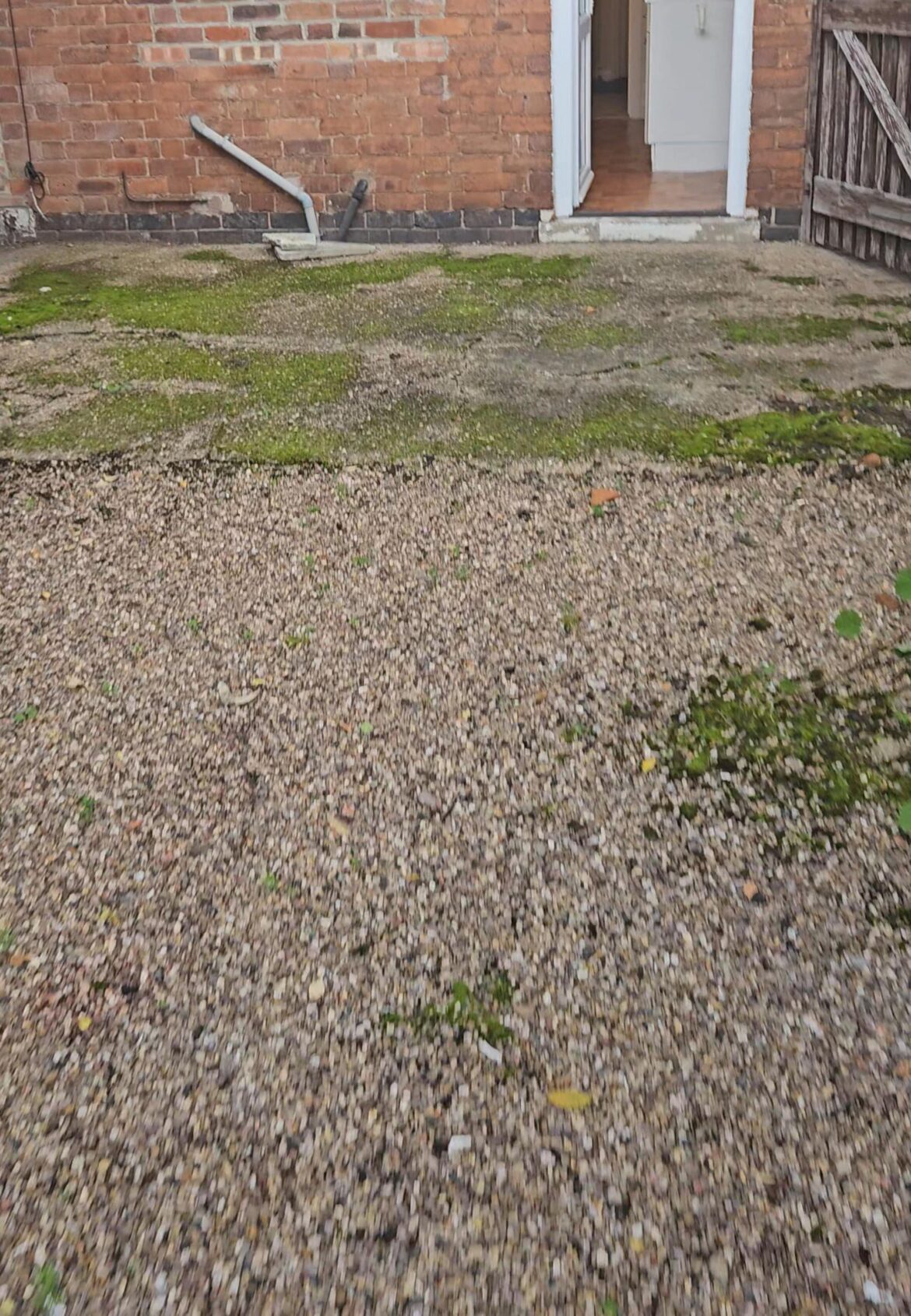 Ideas for transforming my ugly concrete patio?