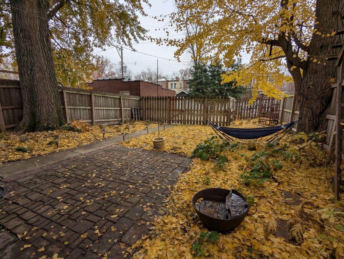 Leave the leaves, but keep it ✨tidy✨