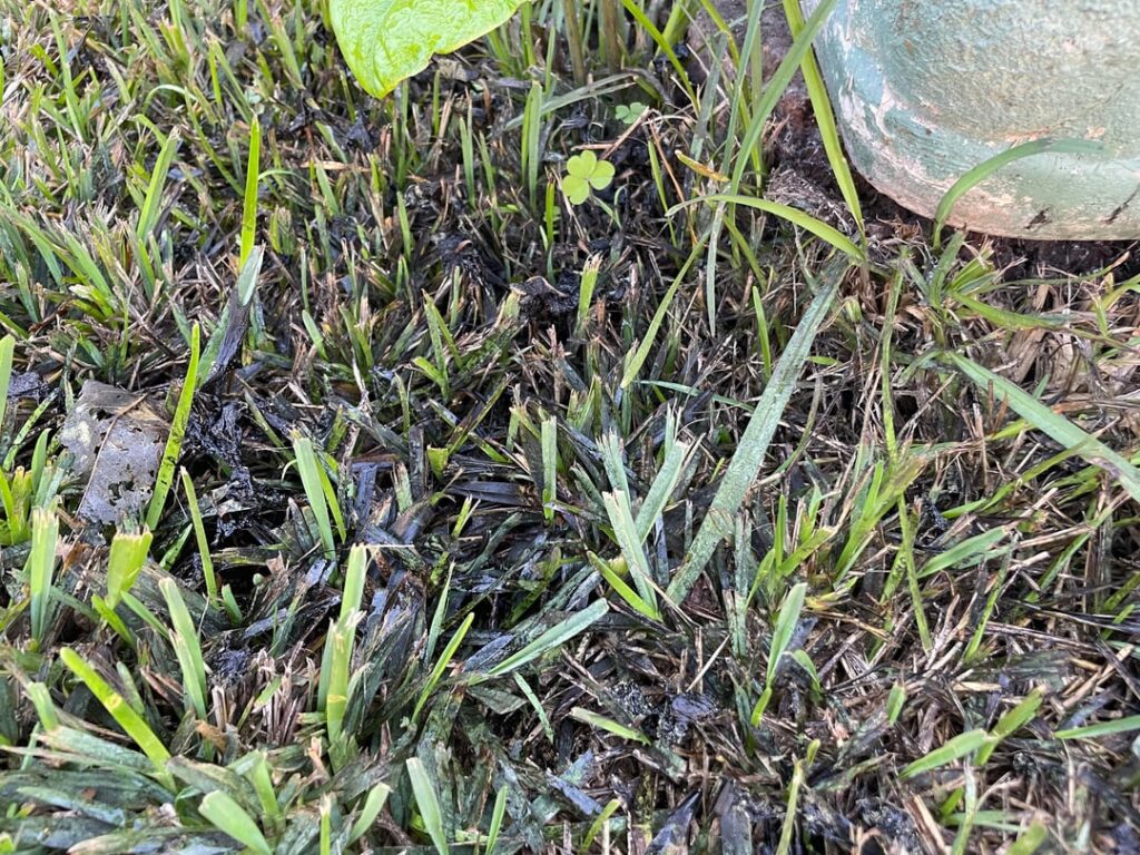 What the hell is going on??