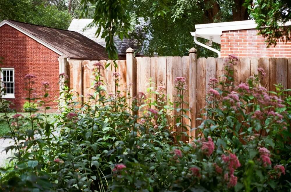 One Reddit user shared stunning before-and-after photos of a native plant landscaping project that transformed a boring lawn into an ecological oasis.