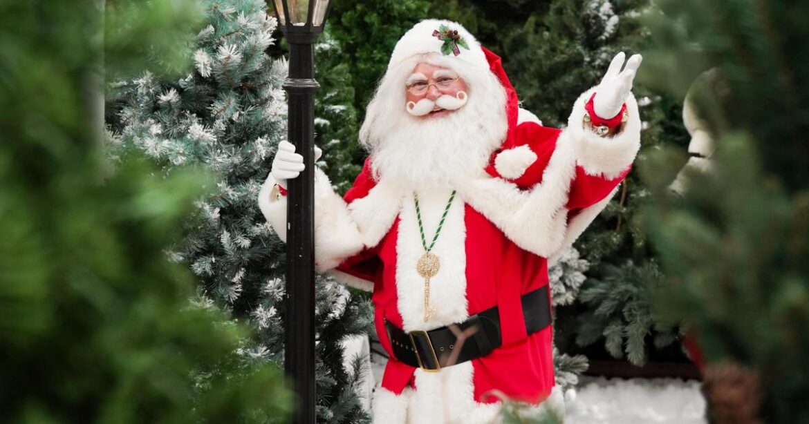 ‘Meet Santa’ experience returns to Dobbies Garden Centres 'Meet Santa' experience returns to Dobbies Garden Centres