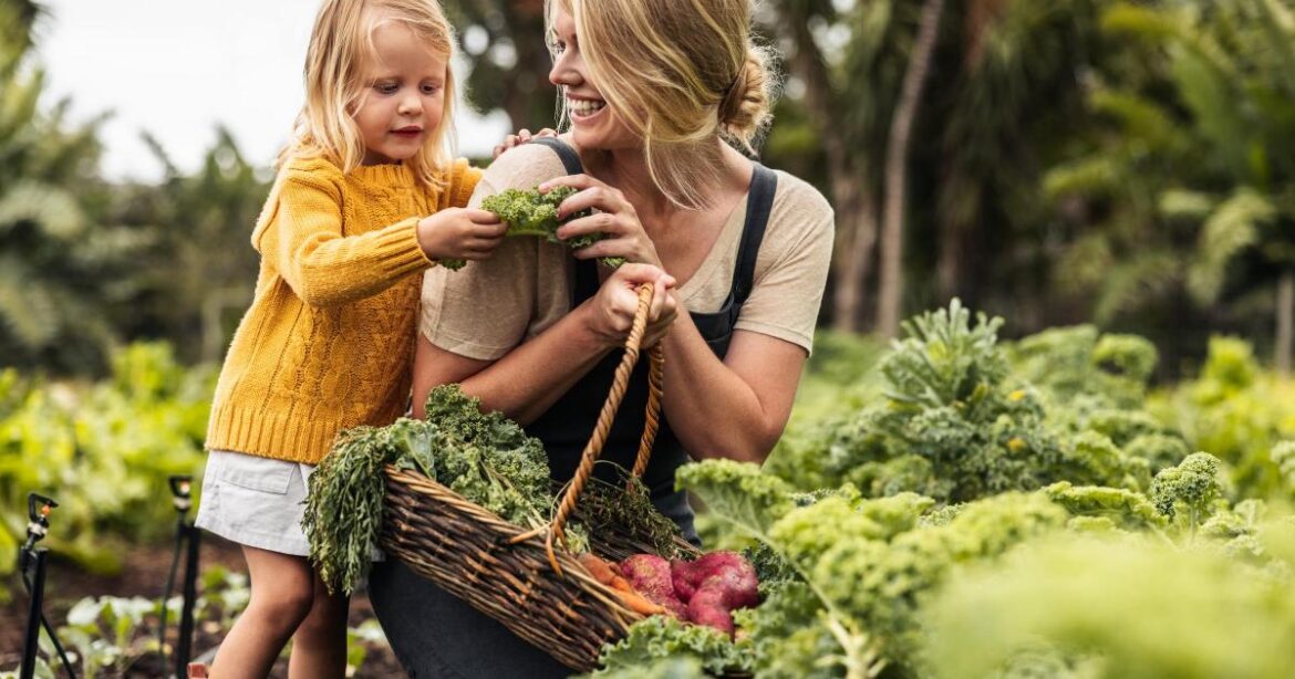 Why gardeners are turning back time — and saving seeds