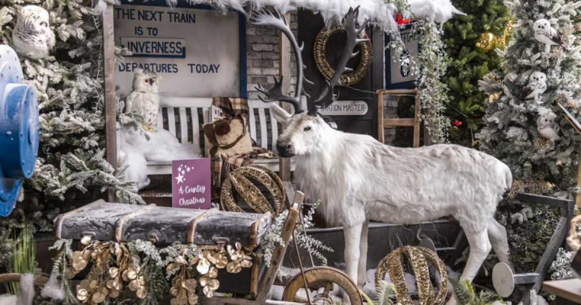 The top garden centres for Christmas shopping in Suffolk