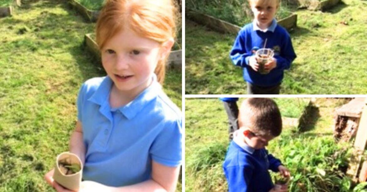 Herne View School’s Young Gardeners build bug hotel Herne View School's Young Gardeners build bug hotel