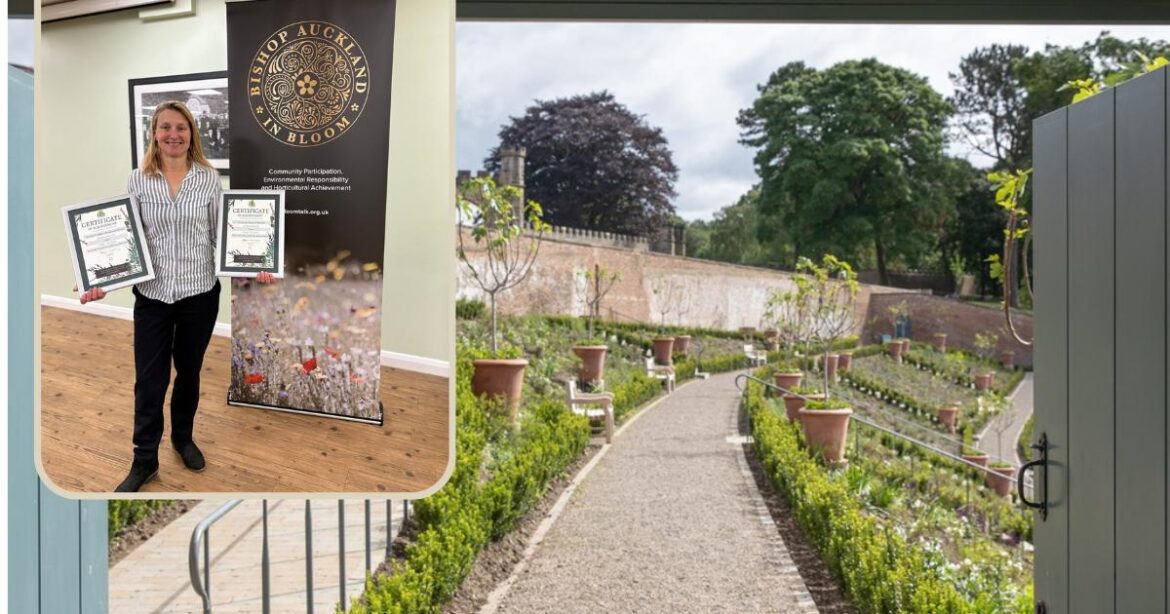 Auckland Project's gardens in Bishop Auckland win three awards