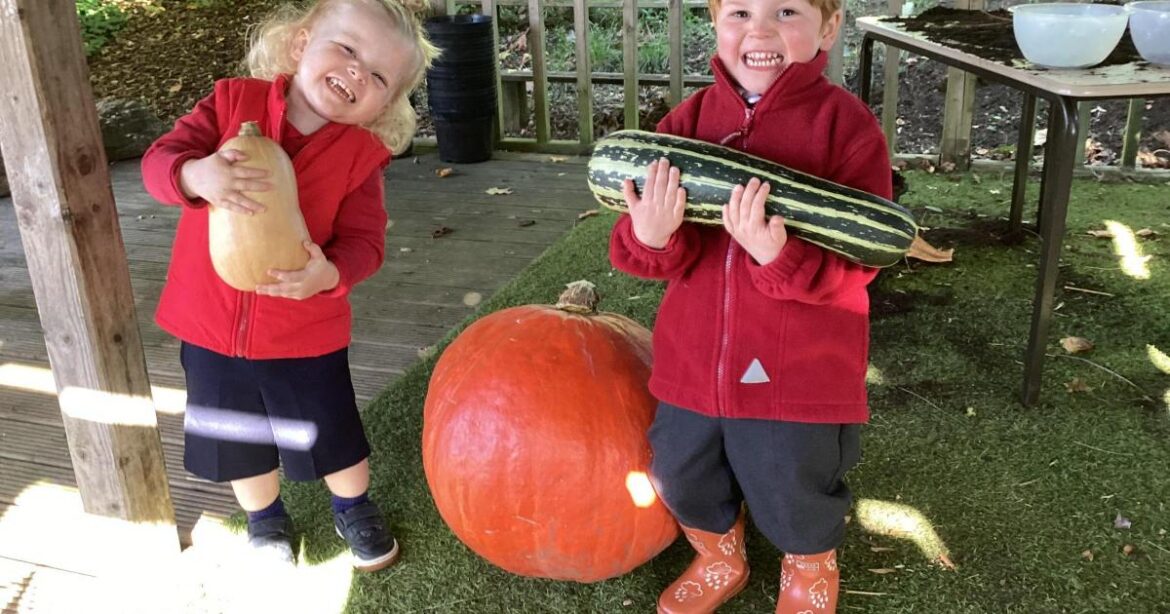 Oxfordshire school teaches sustainability through gardening