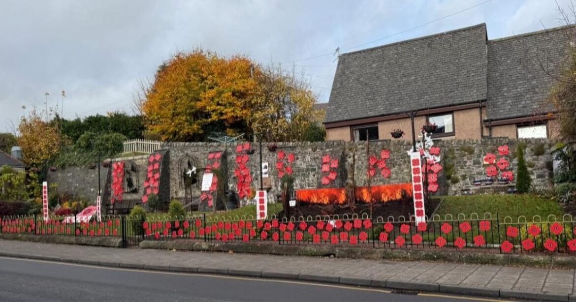 Floral Peebles create Remembrance Sunday tribute garden Floral Peebles create Remembrance Sunday tribute garden