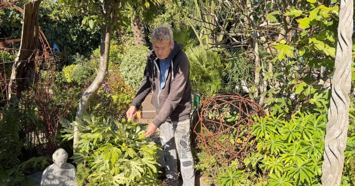 Geoff Stonebanks gardening: Brightening up our gardens Geoff Stonebanks gardening: Brightening up our gardens