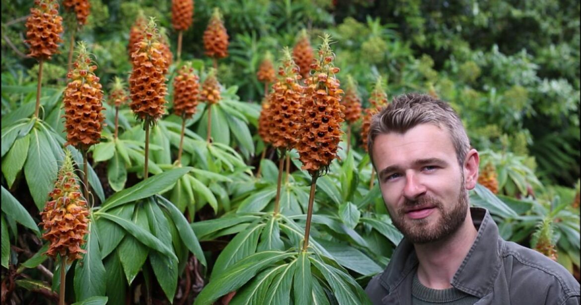 Cornwall Garden Society November and December lectures