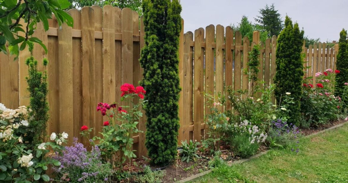 People urged to make gap in garden fence to help hedgehogs People urged to make gap in garden fence to help hedgehogs