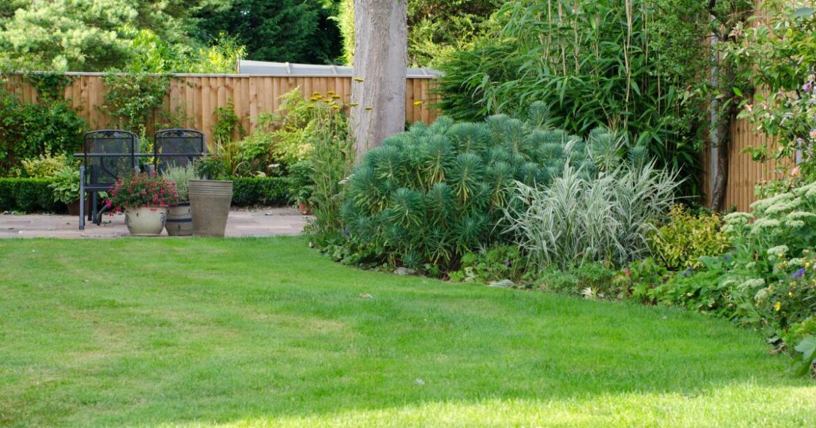 People urged to clear fallen leaves to keep grass healthy People urged to clear fallen leaves to keep grass healthy