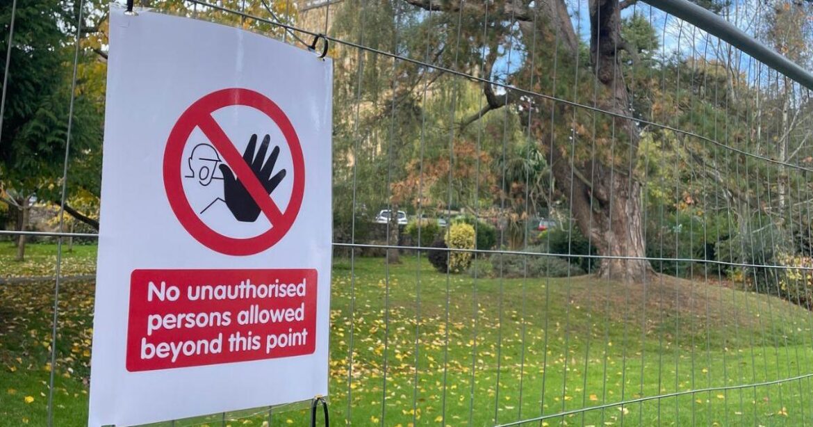 Tree in historic Malvern park to be felled over safety fears Tree in historic Malvern park to be felled over safety fears