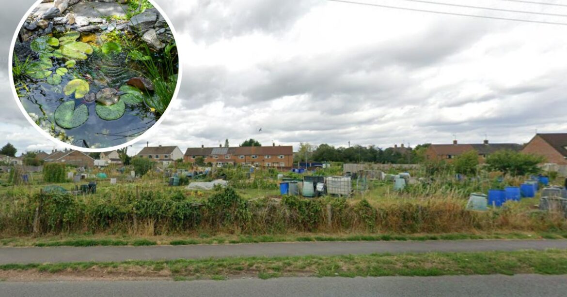Angry gardener blasts pond ban on allotments near Dursley