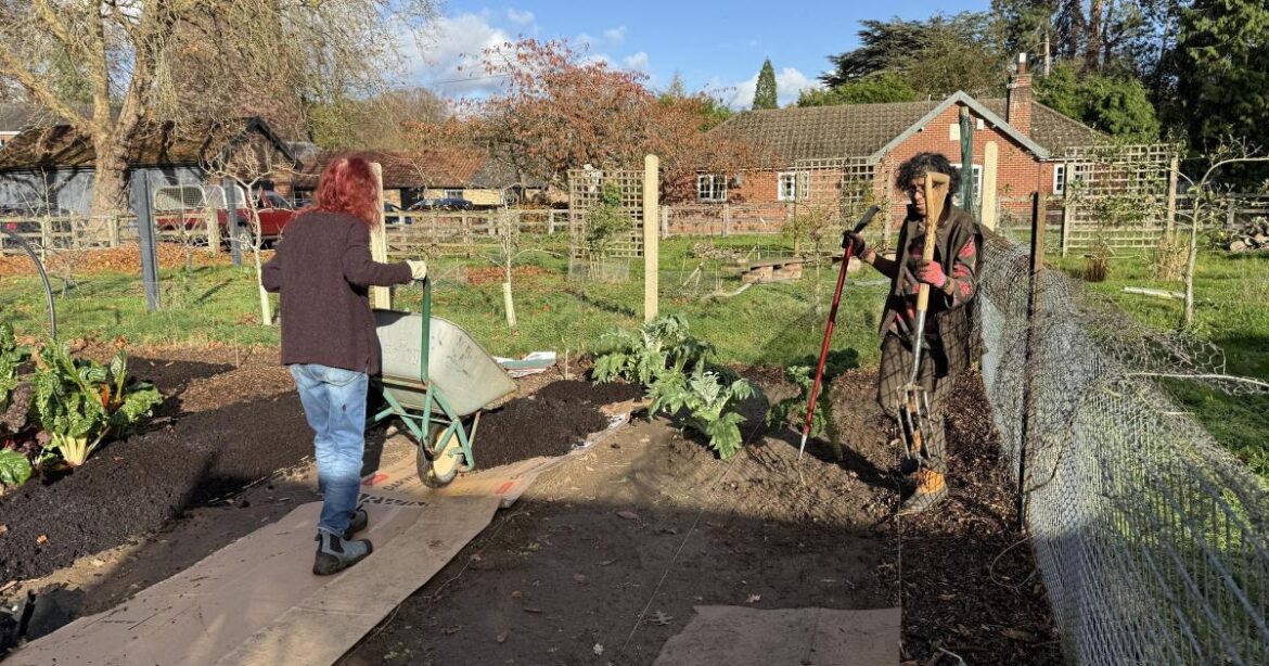 Norfolk School of Gardening: Winter is almost here