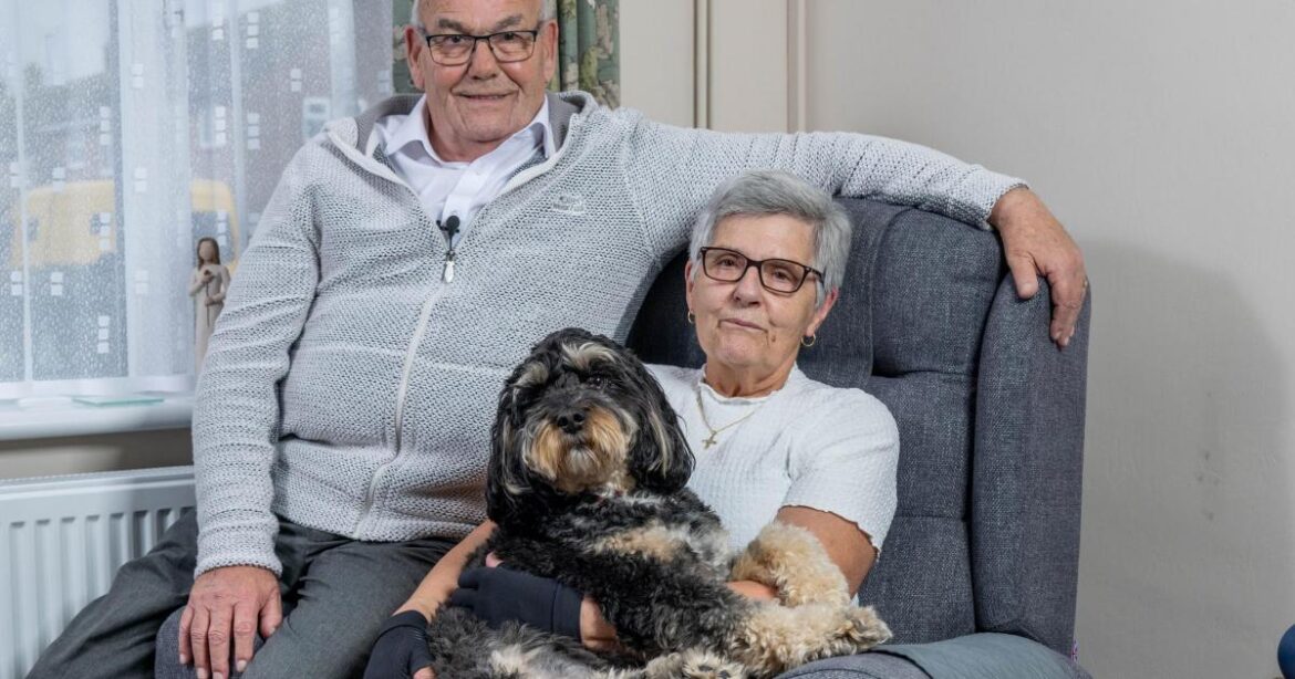 Essex couple cut heating cost with data centre in garden shed Essex couple cut heating cost with data centre in garden shed