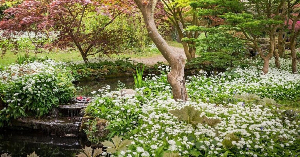 New Forest gardens wins VisitEngland accolade for 2025