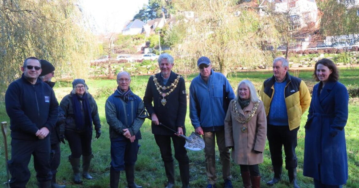 Rare tree planted at Coy Pond, Poole to save species