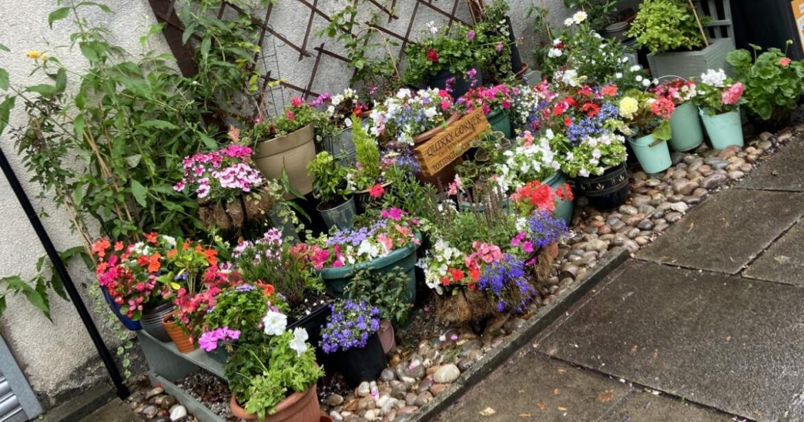 Tottington volunteers win big at regional gardening awards