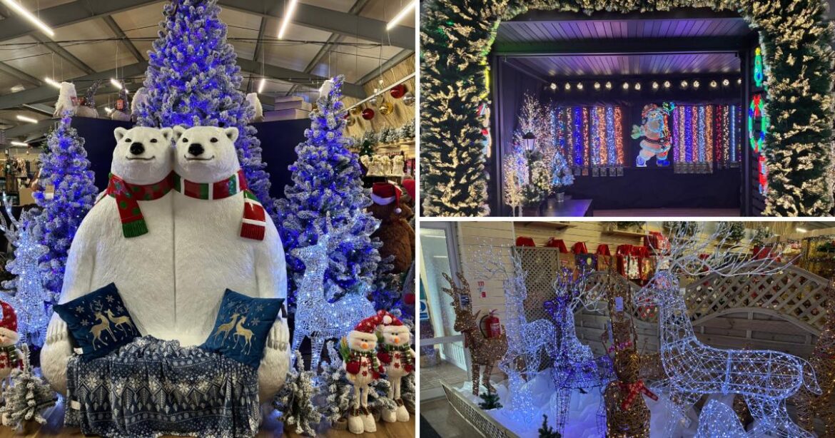 Taverham Garden Centre reveals new Christmas department