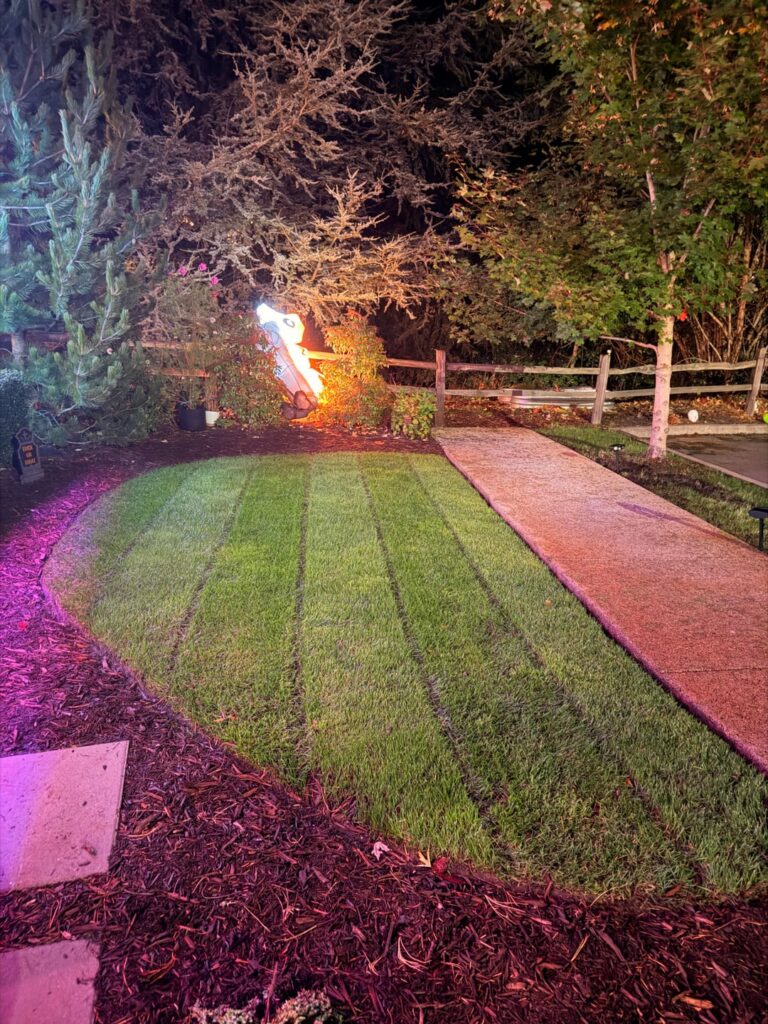 PNW overseed results