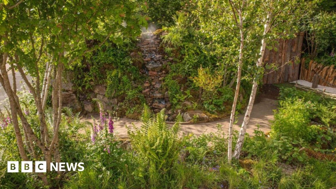 Bristol Zoo Project unveils Chelsea Flower Show rainforest garden A vibrant picture with lots of plants and trees and a foot path running horizontally through the forest. There is also a stone path walkway at the top of the photo. It is mostly green, with some tall pink flowers on the left hand side of the image.