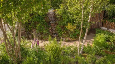 Clive Nicholls A vibrant picture with lots of plants and trees and a foot path running horizontally through the forest. There is also a stone path walkway at the top of the photo. It is mostly green, with some tall pink flowers on the left hand side of the image.