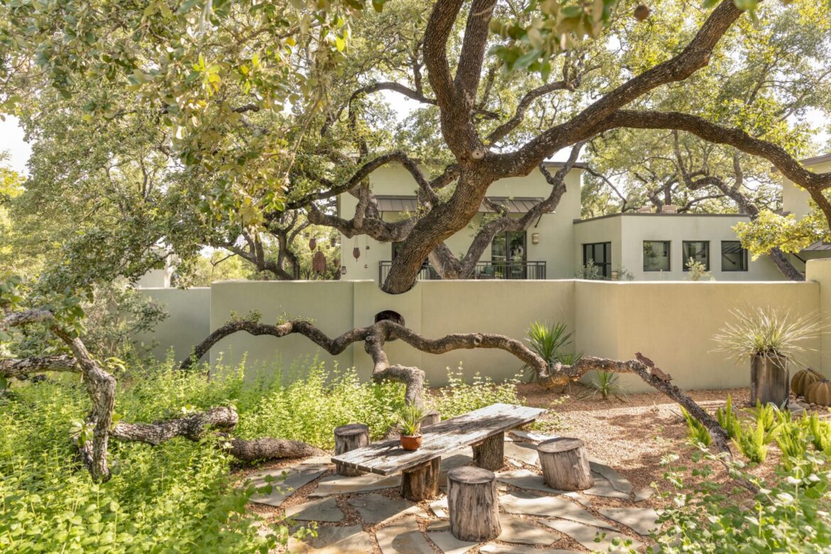 A live oak stretches over a garden