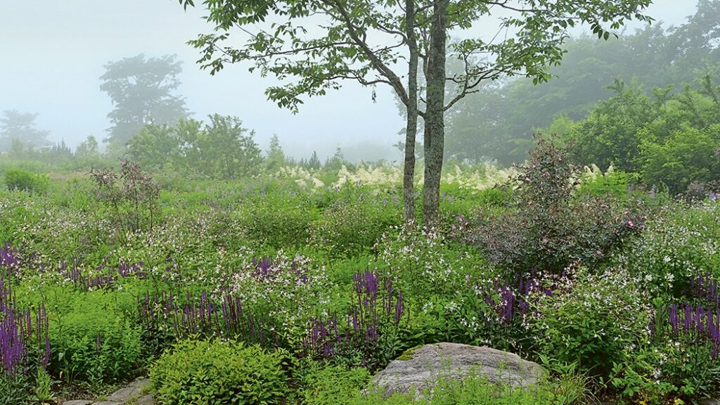 The best gardening books of 2025 — selected by our expert