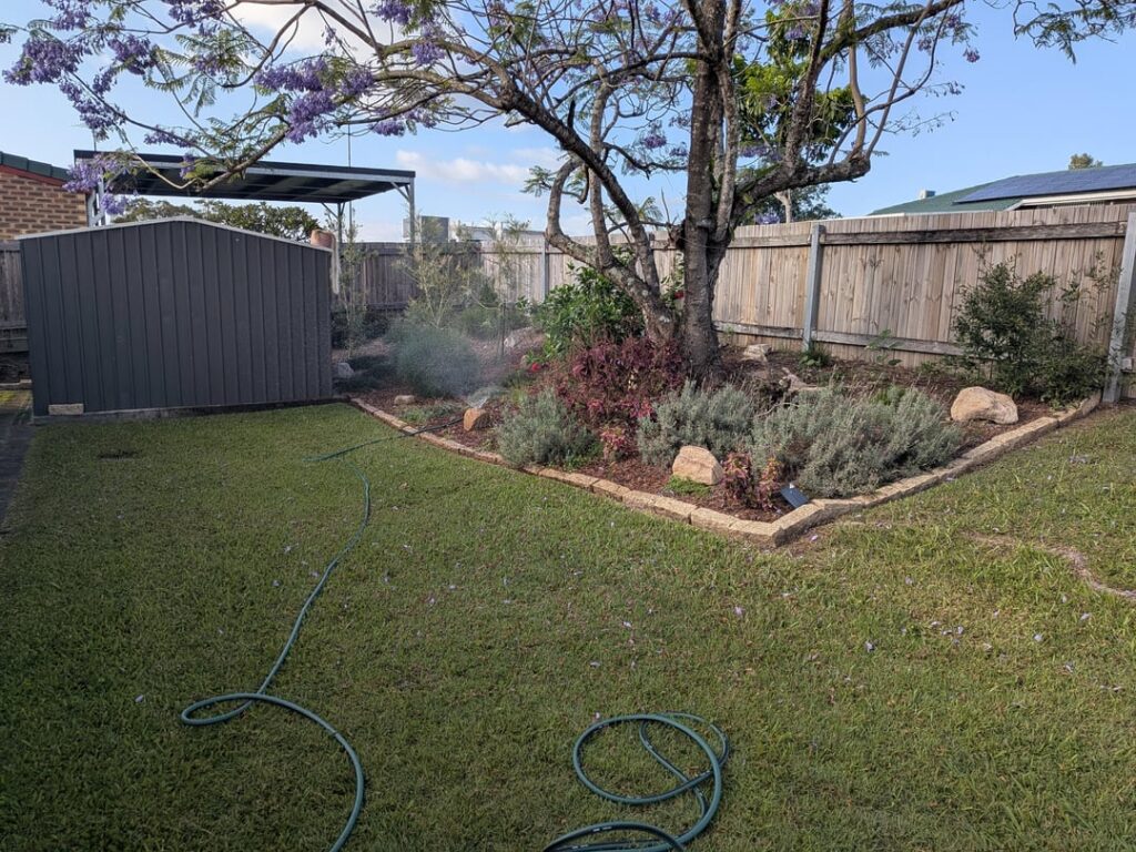 Brisbane native garden