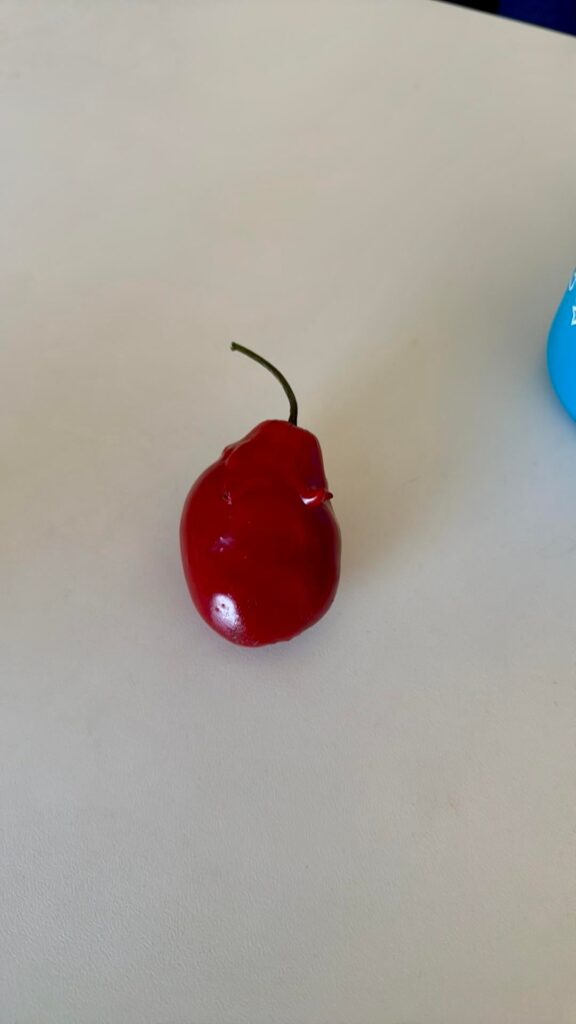 Can someone help me identify this pepper?