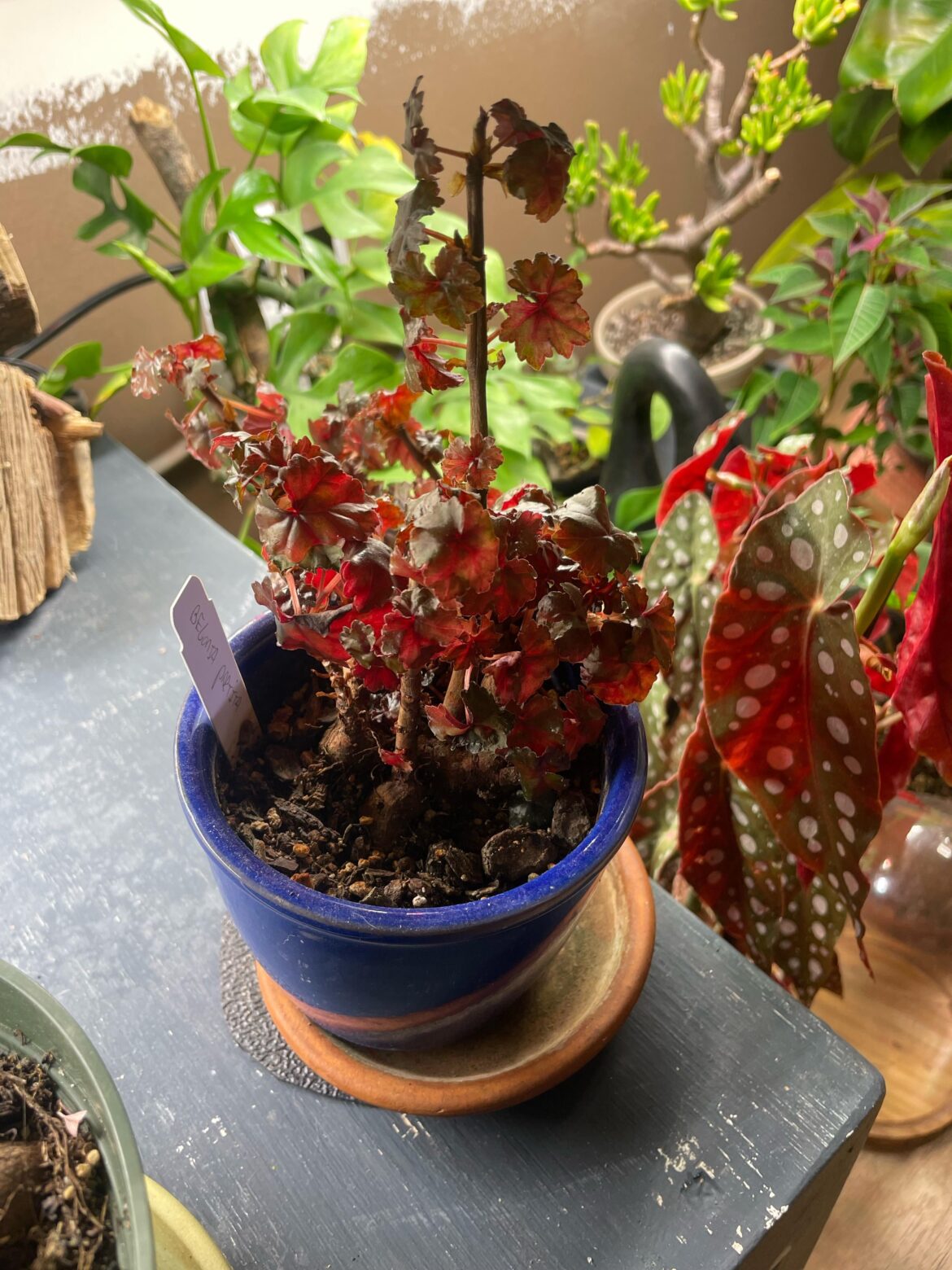 Sold as a B partita - but not sure?