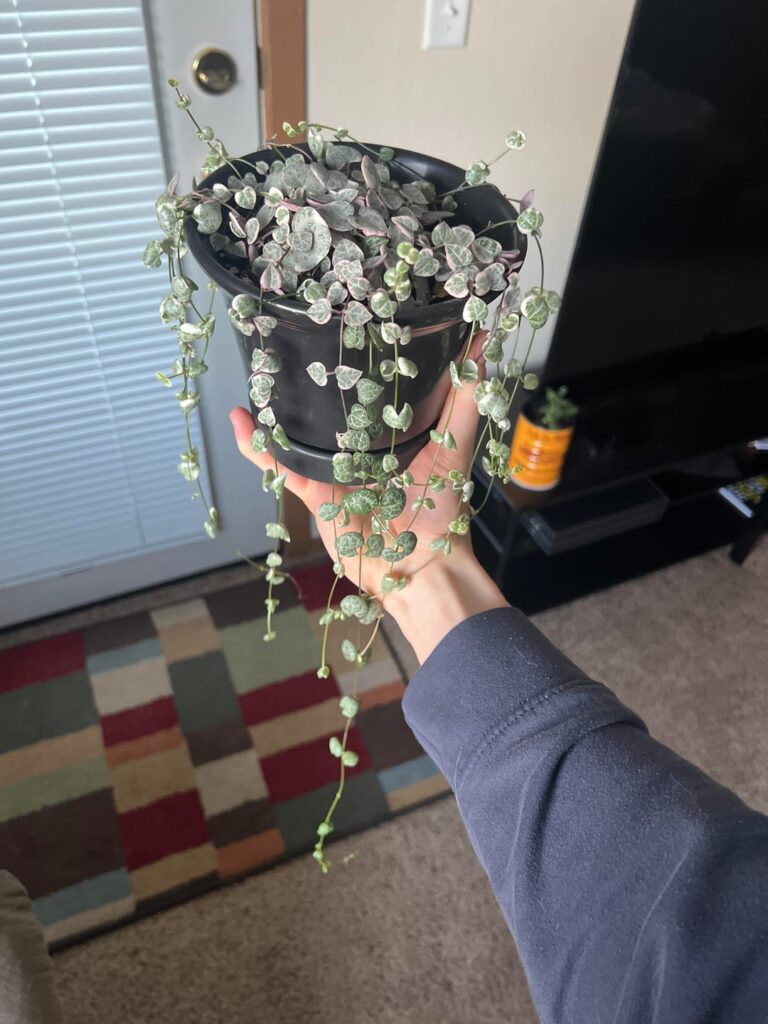 Assistance needed string of ❤️s