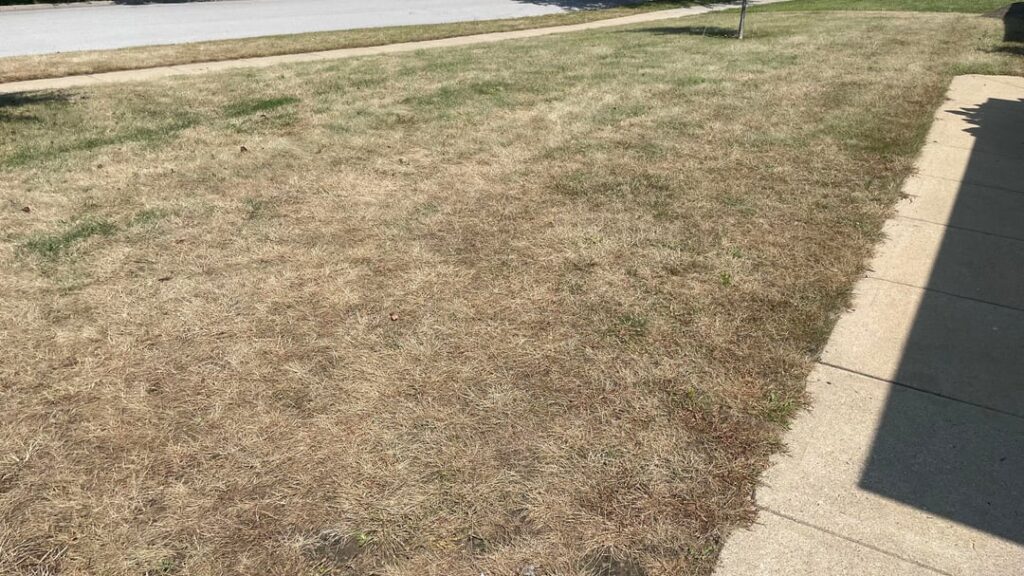 6a Reno results. Thanks to this sub!