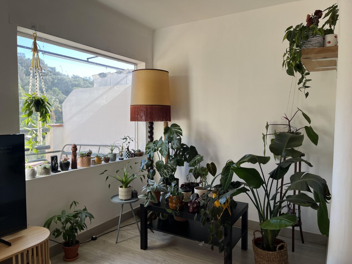 My favorite corner 💚
