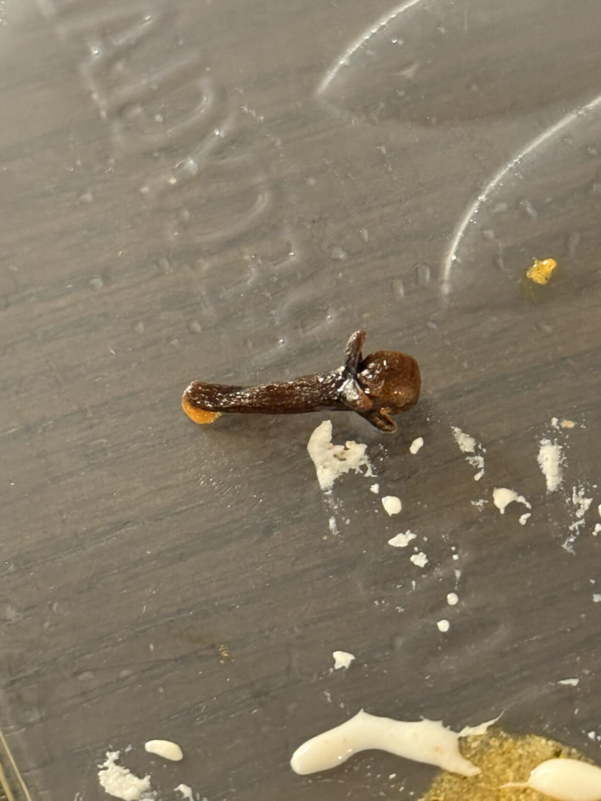 What is this? I found it in my food