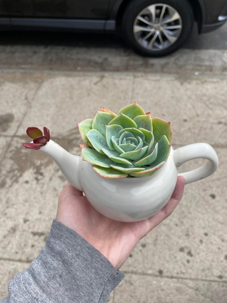 Is this normal? (Swipe to see progression) Is this normal? (Swipe to see progression)