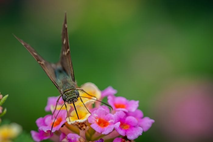 361619632 1 Maedbh Ryan Bnb Pc 2023