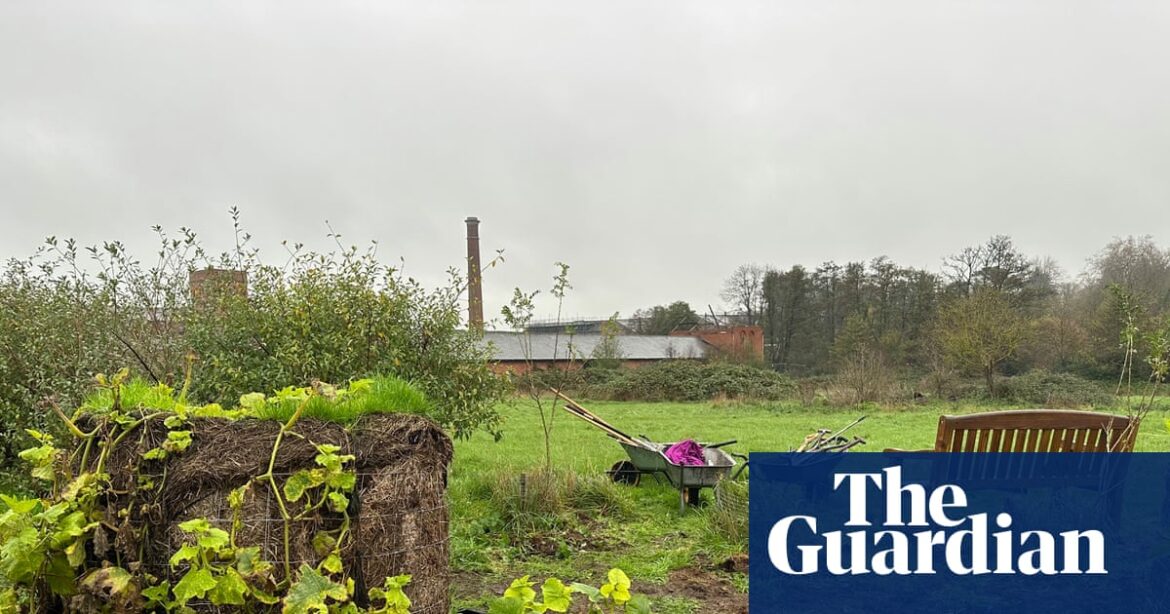Country diary: Once a plain old field, now a thriving forest garden | Gardens