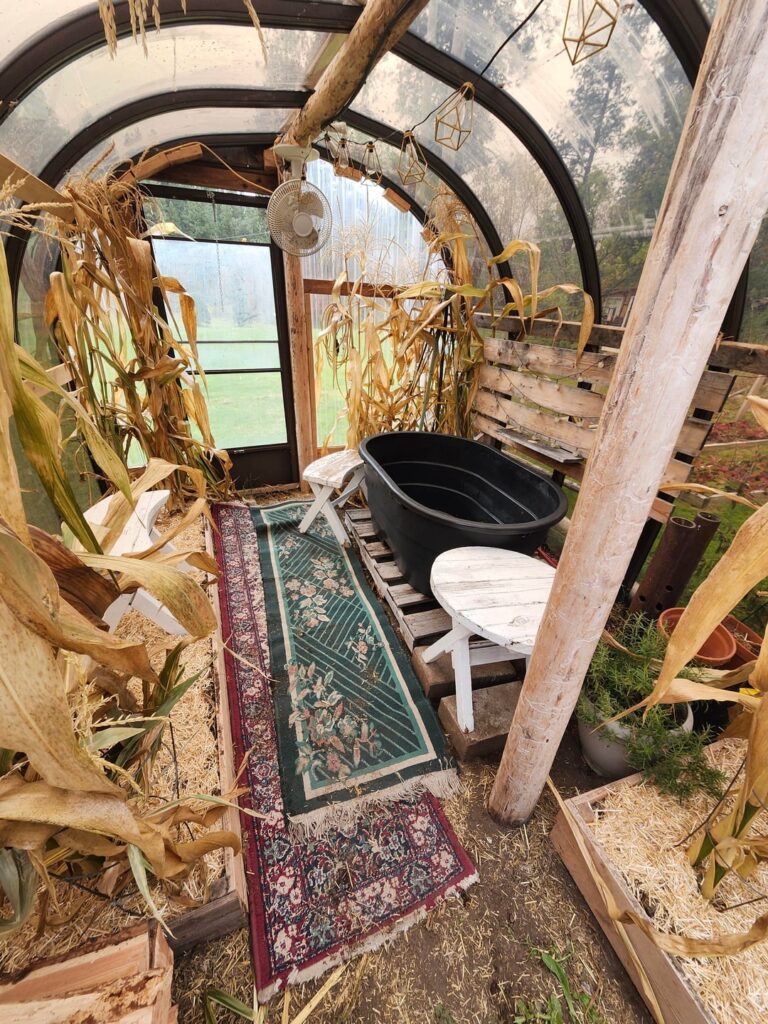 Winter is here so time to change up the greenhouse Winter is here so time to change up the greenhouse