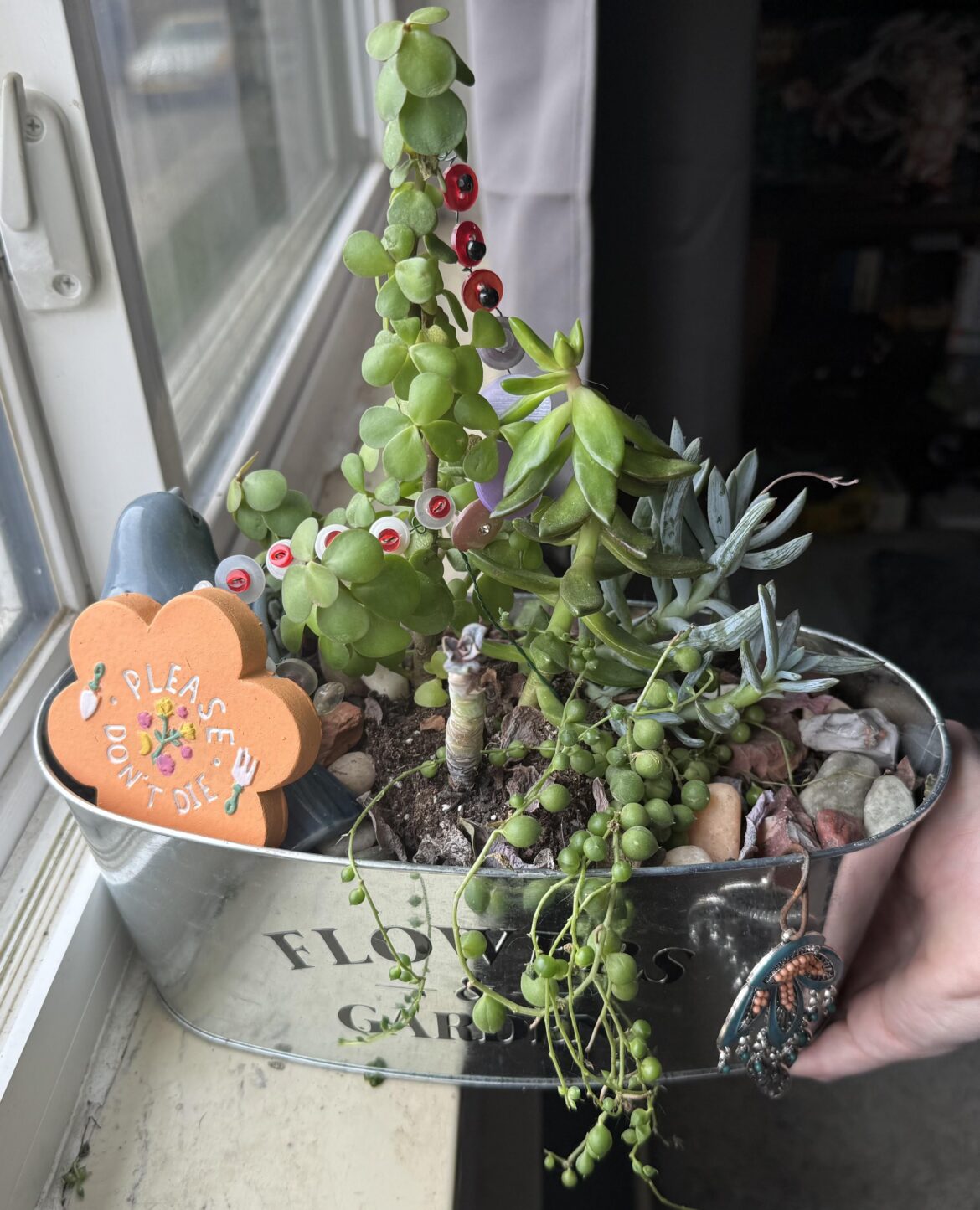 Help me keep this bad boy alive